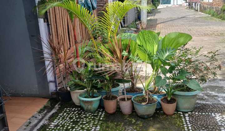 Rumah Murah Pojok di Graha Mijen Asri Wonolopo 2