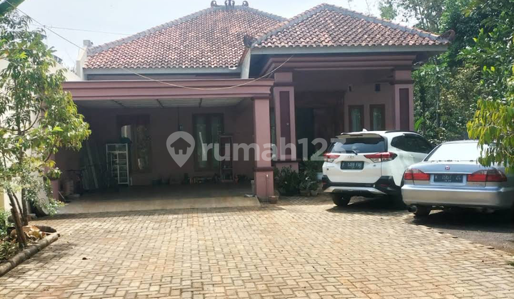Rumah Mewah Ada Kebun Durian Di Jl. Pandean, Gunungpati Dekat Pasar Gunungpati 2
