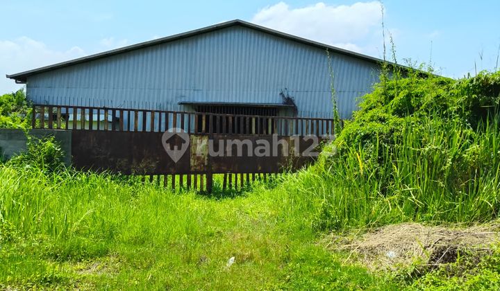 Gudang Eks Batubara di Jl Lingkar Kaliwungu Kendal