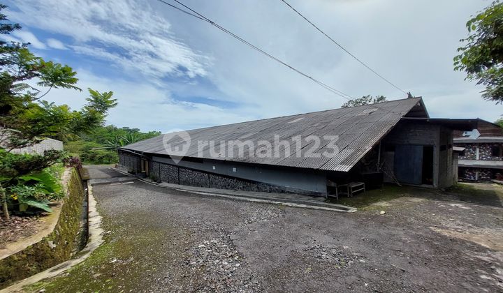 For Sale Ex-Tourism Spot In Andongsili, Mojotengah, Wonosobo For Sale Ex-Tourism Spot In Andongsili, Mojotengah, Wonosobo