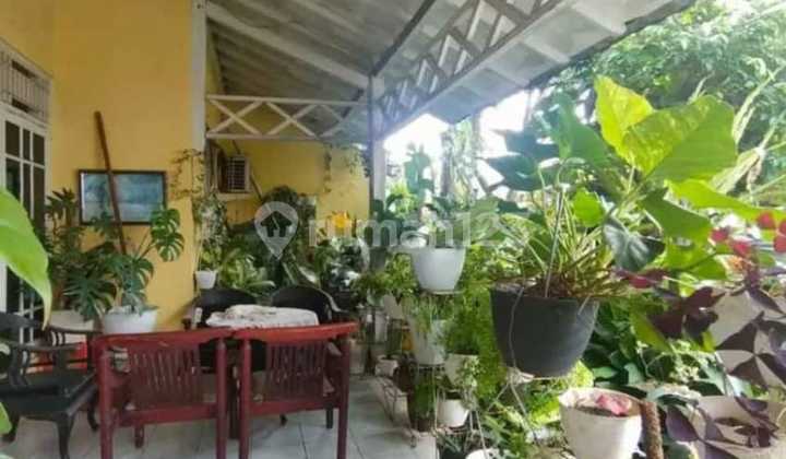 Hook House in West Panda, Palebon, Semarang 2