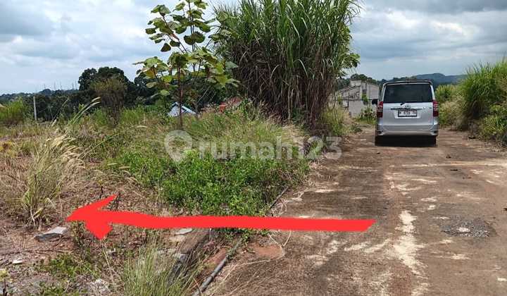 Tanah Dibawah NJOP di Bukit Pakintelan Bersodara Gunungpati