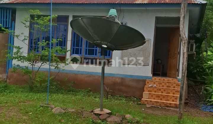 Dijual Rumah+Tanah+Kios Flores Timur 1