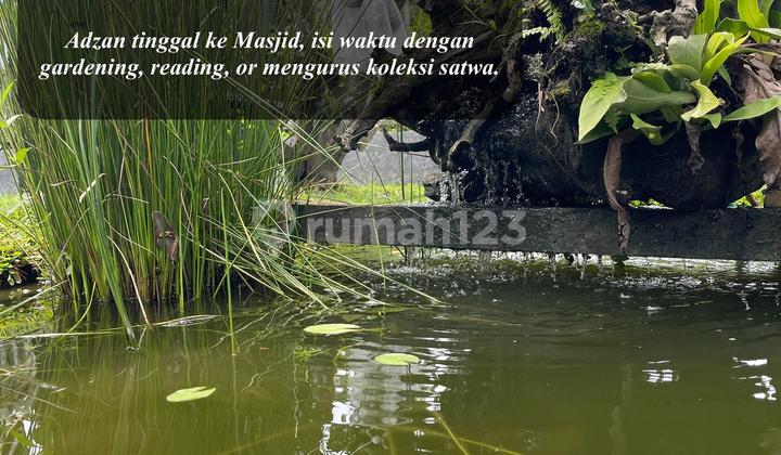 Dijual Rumah Pekanbaru