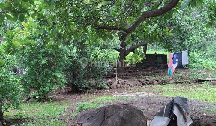 Dijual Rumah+Tanah+Kios Flores Timur 2
