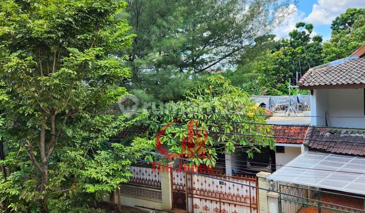 Disewakan Rumah Siap Huni Kawasan Sunter Agung, Tanjung Priok Disewakan Rumah Siap Huni Kawasan Sunter Agung, Tanjung Priok