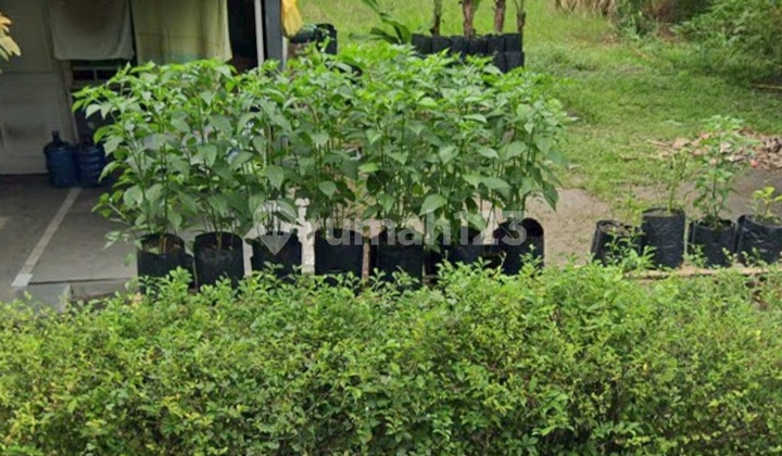 Dijual Murah Rumah Tanah di Komplek Dharma Deli Percut Sei Tuan