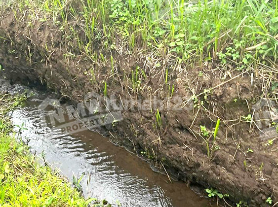 Tanah Sawah, Jual, Pandanlandung, Wagir, Dekat Sd Negeri, Akses Truk Tanah Sawah, Jual, Pandanlandung, Wagir, Dekat Sd Negeri, Akses Truk