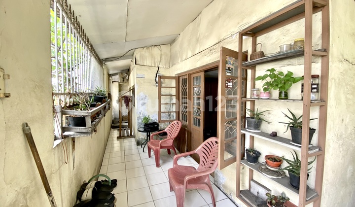 Nego Sampai Deal! Rumah Tua Hitung Tanah Pademangan, Jakarta Utara