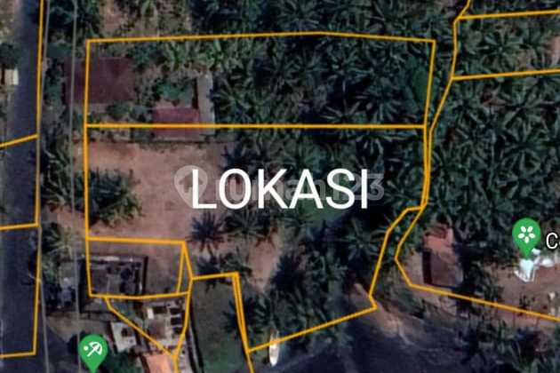 Pasti Dealdi Jual Tanah Loss Pantai Lokasi Pasut Tabanan Bali