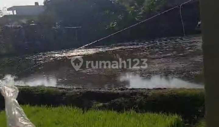 Pasti Deal Di Sewakan Tanah Lokasi Bakbakan Canggu Kuta Utara Badung Bali 