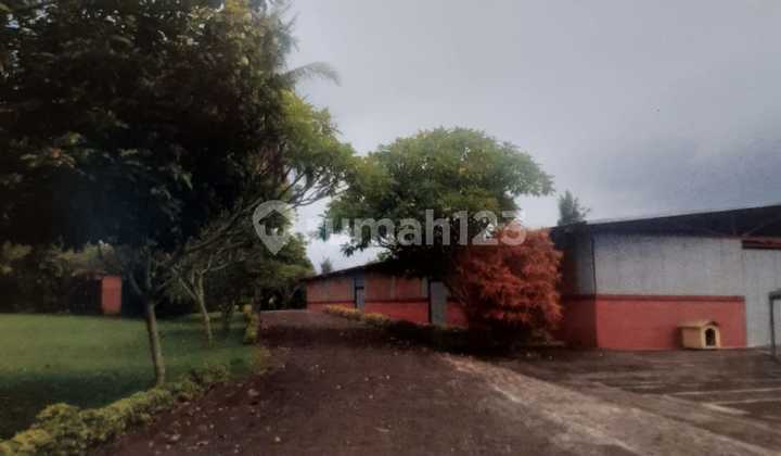 Pasti Deal Di Jual Tanah Bonus Bangunan Lokasi Kaliakah Banyu Biru Jembrana Bali Pasti Deal Di Jual Tanah Bonus Bangunan Lokasi Kaliakah Banyu Biru Jembrana Bali