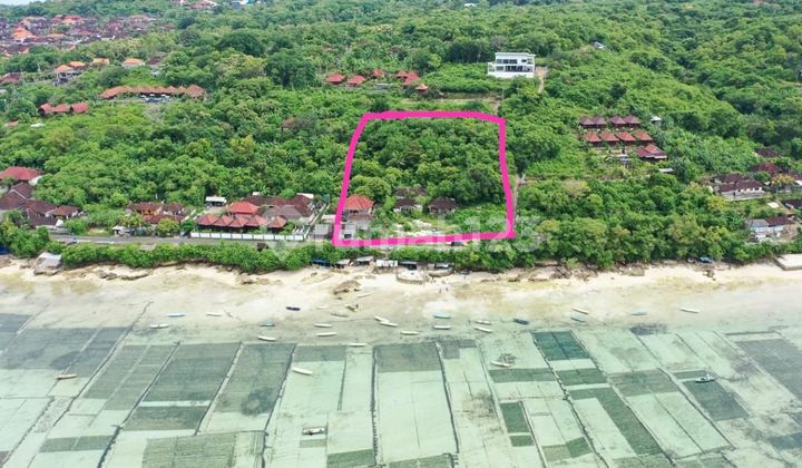 Pasti Deal Di Jual Tanah Loss Pantai Lokasi Nusa Lembongan Klungkung Bali 