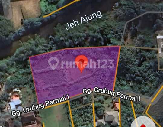 Pasti Deal Di Jual Tanah Loss Sungai Lokasi Padang Galak Denpasar Timur Bali 