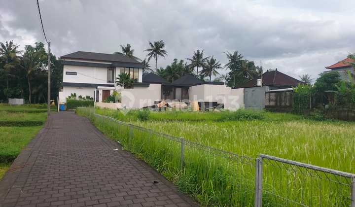 Pasti Deal Di Jual Tanah View Sawah Lokasi Lodtunduh Ubud Gianyar Bali Pasti Deal Di Jual Tanah View Sawah Lokasi Lodtunduh Ubud Gianyar Bali