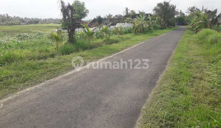 Pasti Deal Di Jual Tanah Pinggir Jalan Utama Lokasi Beraban Tabanan Bali Pasti Deal Di Jual Tanah Pinggir Jalan Utama Lokasi Beraban Tabanan Bali