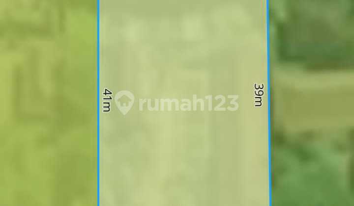 Pasti Deal Di Jual Tanah Dekat Jalan Utama Lokasi Kemenuh Ubud Gianyar Bali Pasti Deal Di Jual Tanah Dekat Jalan Utama Lokasi Kemenuh Ubud Gianyar Bali