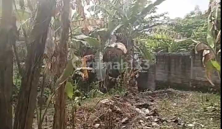 Pasti Deal Di Sewakan Tanah Lokasi Kubu Gatot Subroto Barat Denpasar Bali Pasti Deal Di Sewakan Tanah Lokasi Kubu Gatot Subroto Barat Denpasar Bali