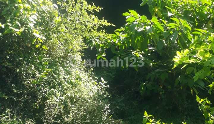 Pasti Dealdi Jual Tanah Bonus Bangunan Pinggir Jalan Utama Lokasi Kampial Nusa Dua Kuta Selatan Badung Bali 