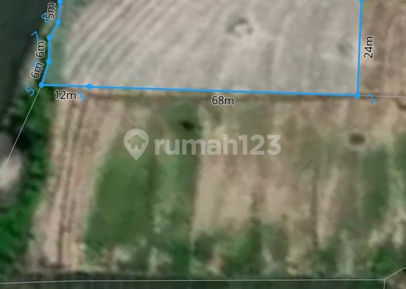 Certainly Deal, Land for Sale Ready to Build in Kelating, Tabanan, Bali