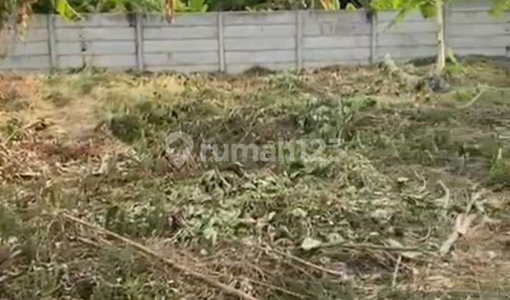 Certainly Dealdi Sells Land on the Main Road Location Batanghari Panjer South Denpasar Bali