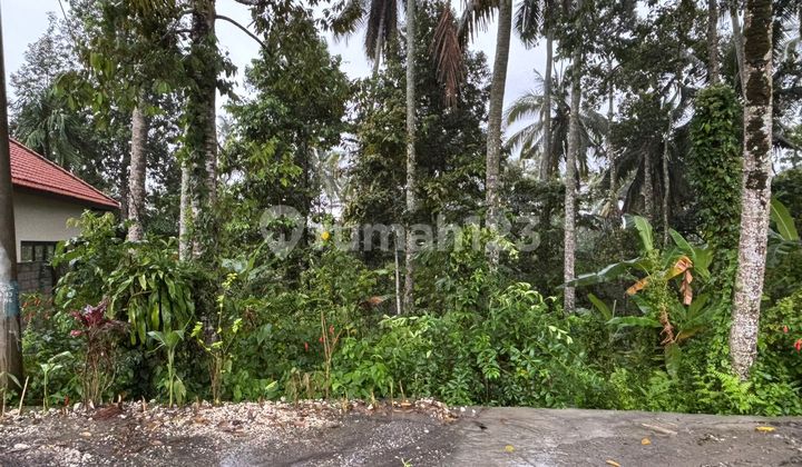 Definitely Deal for Rent, Land with Loss River View Jungle Location in Pejeng, Ubud, Gianyar, Bali