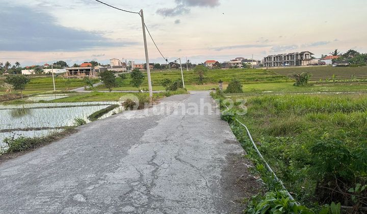 Pasti Deal Di Jual Tanah Dekat Pantai Lokasi Nyanyi Kediri Tabanan Bali Pasti Deal Di Jual Tanah Dekat Pantai Lokasi Nyanyi Kediri Tabanan Bali