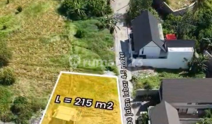 Pasti Deal Di Jual Tanah Dekat Pantai Lokasi Cemagi Mengwi Badung Bali Pasti Deal Di Jual Tanah Dekat Pantai Lokasi Cemagi Mengwi Badung Bali