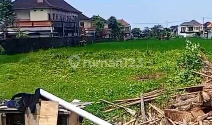 Definitely a Deal: Land for Sale in Pasaekan, Batu Bulan, Gianyar, Bali