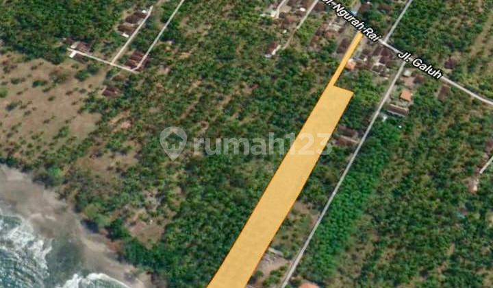 Pasti Deal Di Jual Tanah Loss Pantai Lokasi Pekutatan Jembrana Bali Pasti Deal Di Jual Tanah Loss Pantai Lokasi Pekutatan Jembrana Bali