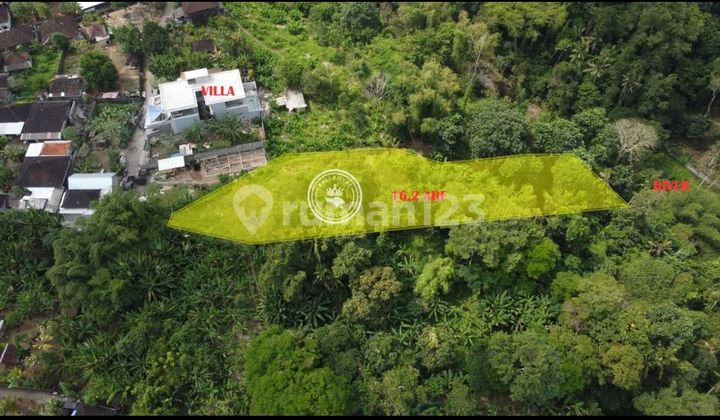 Must Sell Build-Ready Land with Mountain Forest and River View, Land Lot Location Tabanan Bali. Must Sell Build-Ready Land with Mountain Forest and River View, Land Lot Location Tabanan Bali.