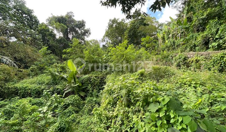 Pasti Deal Di Jual Tanah View Sawah Lokasi Dalung Permai Badung Bali