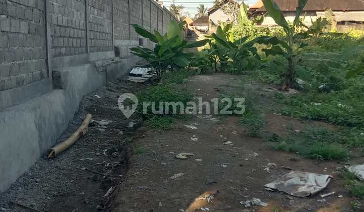 Pasti Deal Di Jual Tanah Loss Sungai View Sawah Lokasi Tengkulak Kemenuh Ubud Gianyar Bali Pasti Deal Di Jual Tanah Loss Sungai View Sawah Lokasi Tengkulak Kemenuh Ubud Gianyar Bali