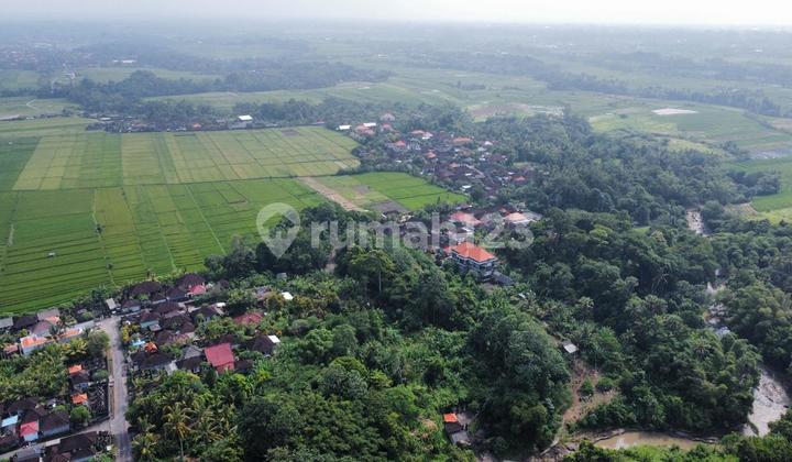 Pasti Deal Di Jual Tanah Lokasi Kelating Tabanan Bali 