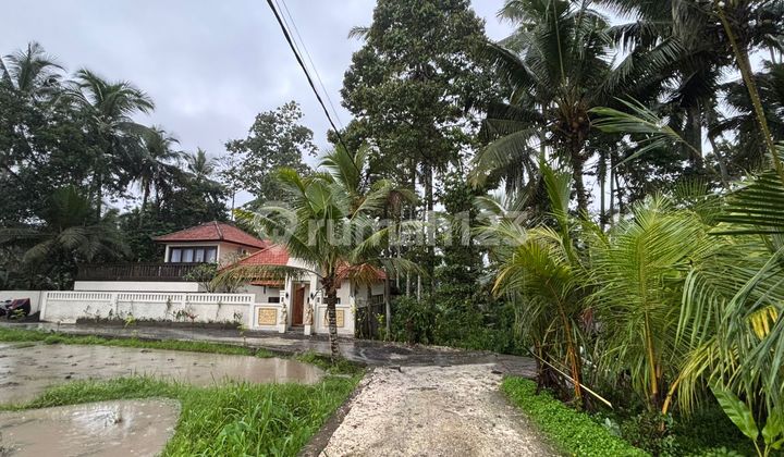 Definitely Deal for Rent, Land with Loss River View Jungle Location in Pejeng, Ubud, Gianyar, Bali