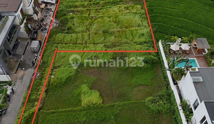 Pasti Deal Di Jual Tanah View Sawah Dan Sunset Lokasi Nyanyi Kediri Tabanan Bali 