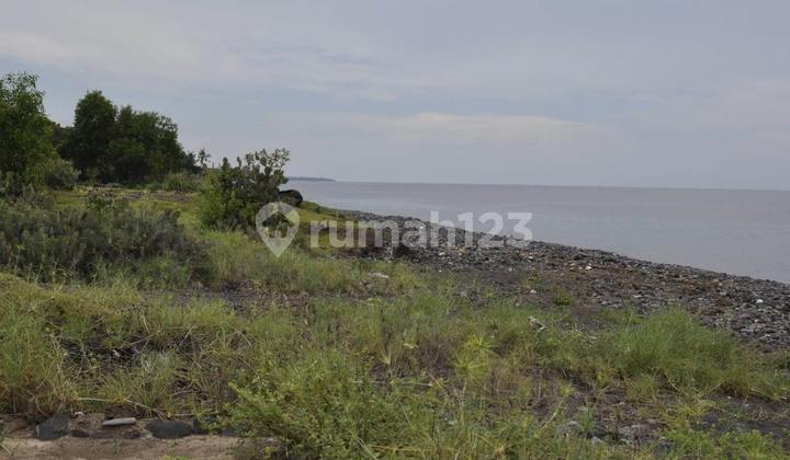 Sure Deal For Sale Land Loss Beach View Mountain And Sea Location Kubu Karangasem Bali