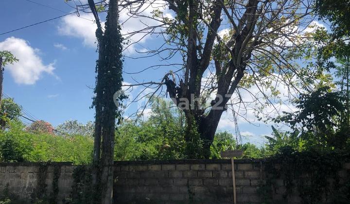 Pasti Deal Di Jual Tanah Pinggir Jalan Lokasi Karang Mas Jimbaran Kuta Selatan Bali 