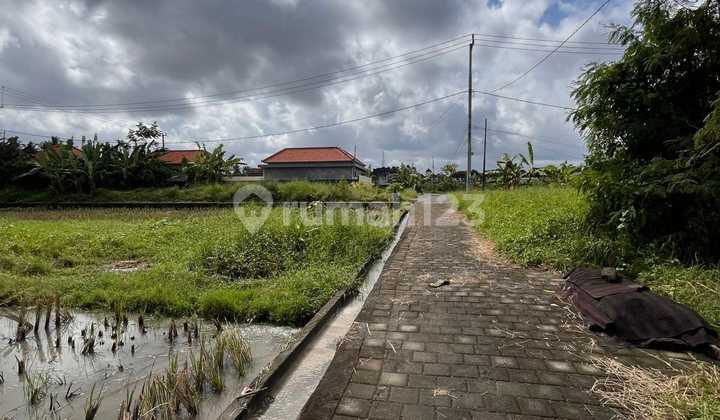 Pasti Deal Di Jual Tanah Lokasi Peliatan Ubud Gianyar Bali Pasti Deal Di Jual Tanah Lokasi Peliatan Ubud Gianyar Bali