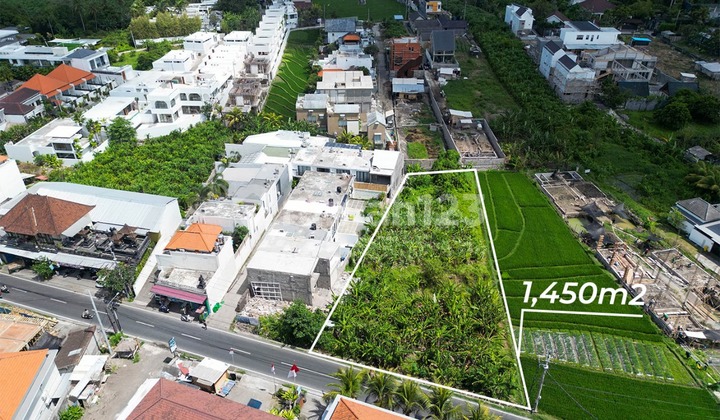 Pasti Deal Di Jual Tanah Pinggir Jalan Utama Lokasi Tumbak Bayuh Canggu Badung Bali Pasti Deal Di Jual Tanah Pinggir Jalan Utama Lokasi Tumbak Bayuh Canggu Badung Bali