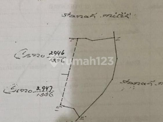 Pasti Deal Di Jual Tanah Lokasi Cucukan Keramas Gianyar Bali Pasti Deal Di Jual Tanah Lokasi Cucukan Keramas Gianyar Bali