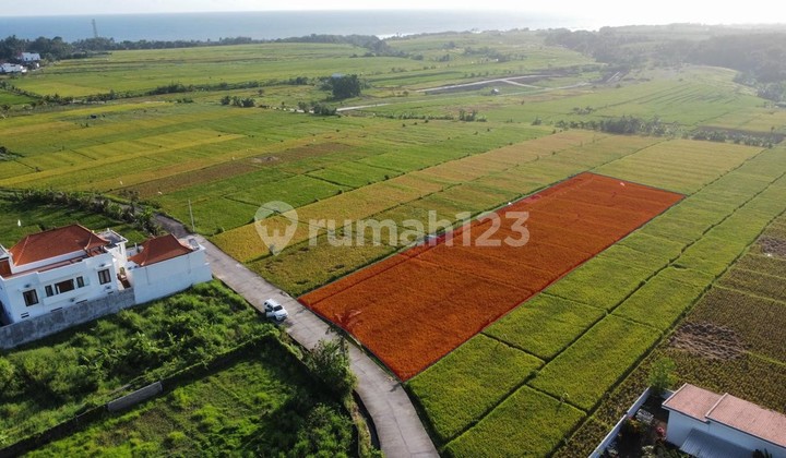 Definitely a Deal! Land for Sale, Ready to Build with Views of Sea, Mountains, and Rice Fields, Located in Kelating, Tabanan, Bali.