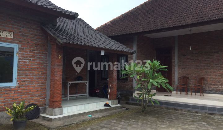 Sure Deal For Sale House Location Tabanan Town Tabanan Bali 2