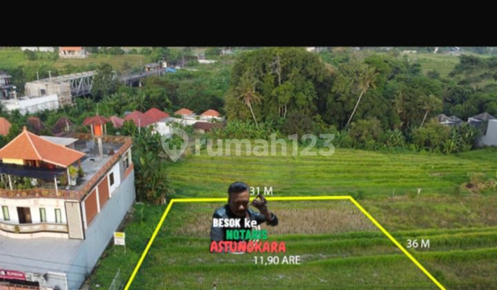 Pasti Deal Di Jual Tanah Pinggir Jalan Lokasi Nyanyi Kediri Tabanan Bali Pasti Deal Di Jual Tanah Pinggir Jalan Lokasi Nyanyi Kediri Tabanan Bali