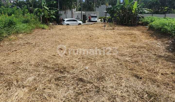 Certainly Deal Land for Sale in Lodtunduh Ubud Gianyar Bali Location
