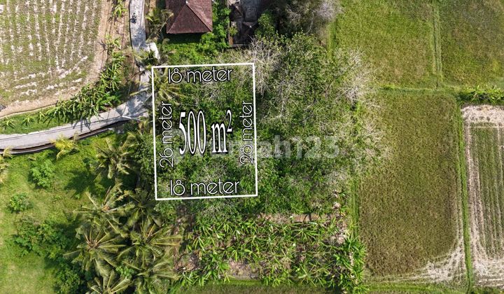 Pasti Deal Di Jual Tanah View Sawah Dekat Jalan Utama Lokasi Sayan Ubud Gianyar Bali 