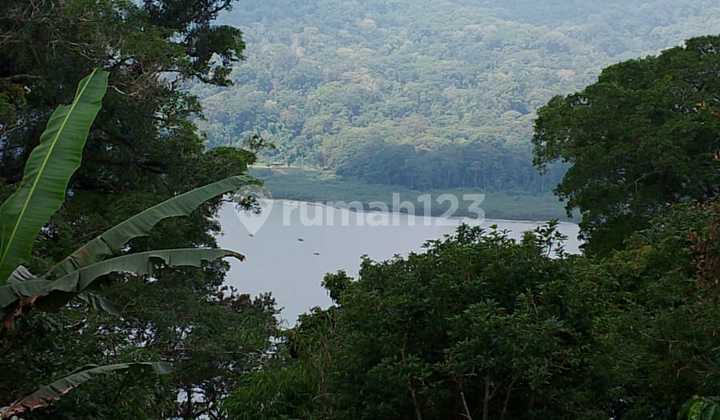 Pasti Deal Di Jual Tanah Lokasi Munduk Wanagiri Buleleng Bali 