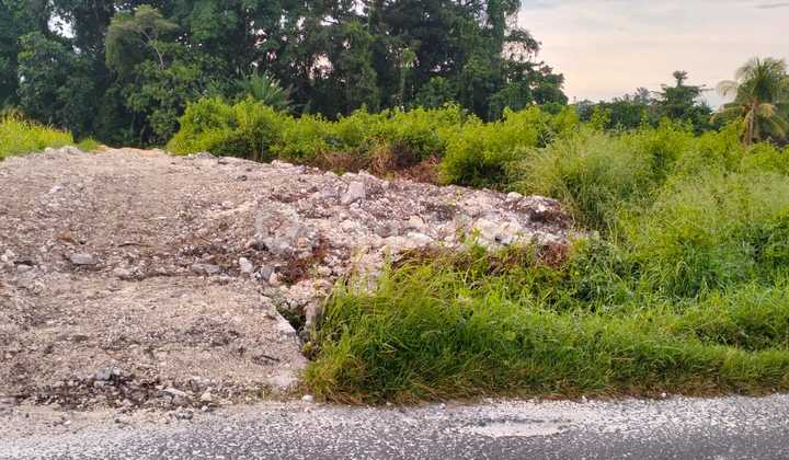 Sure Deal For Sale Land on Main Road Location Kaba Kaba Tabanan Bali Sure Deal For Sale Land on Main Road Location Kaba Kaba Tabanan Bali