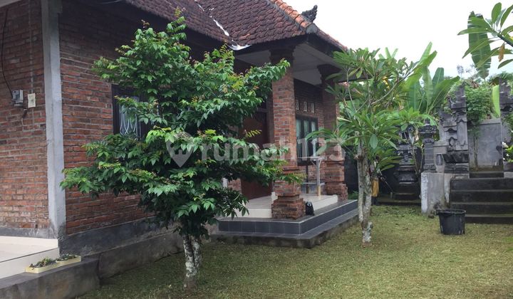 Pasti Deal Di Jual Rumah Lokasi Tabanan Kota Tabanan Bali Pasti Deal Di Jual Rumah Lokasi Tabanan Kota Tabanan Bali
