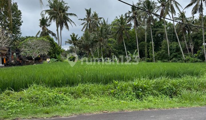 Pasti Deal Di Jual Tanah View Hutan Dan Sawah Lokasi Kemenuh Ubud Gianyar Bali Pasti Deal Di Jual Tanah View Hutan Dan Sawah Lokasi Kemenuh Ubud Gianyar Bali
